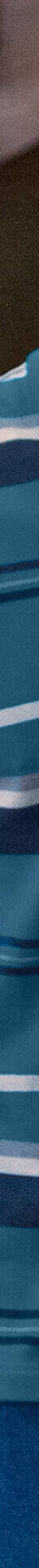 Polo maille piquée rayée, manches courtes (bleu canard) Polo maille piquée rayée, manches courtes (bleu canard)
